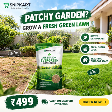 All Season Lawn grass Seeds (Pack of 2)