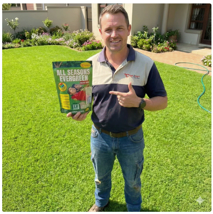 All Season Lawn grass Seeds (Pack of 2)